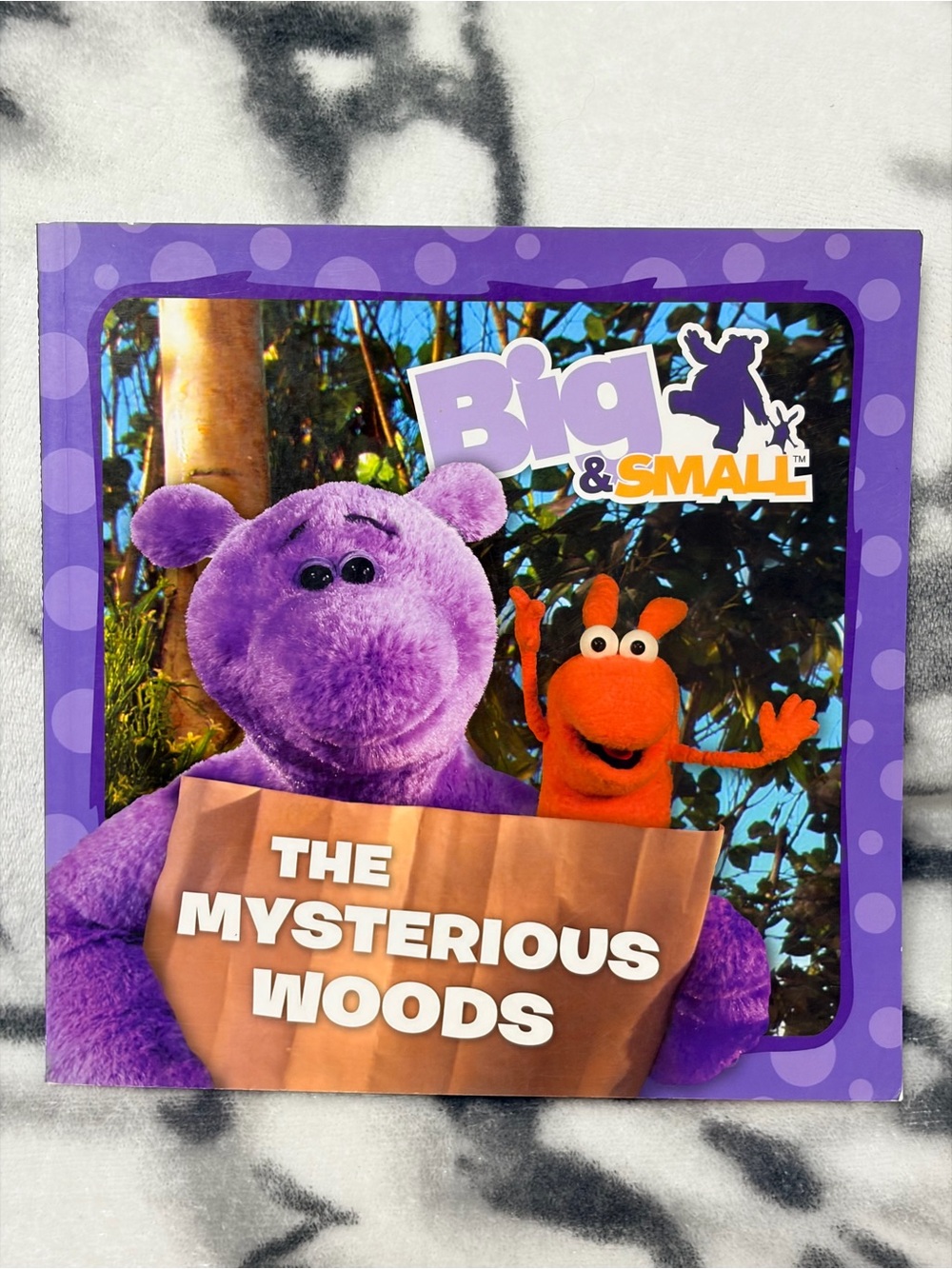 Big & Small (2010) -“The Mysterious Woods," Kids Paperback Book/EUC
